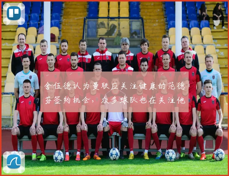 舍伍德认为曼联应关注健康的范德芬签约机会，众多球队也在关注他
