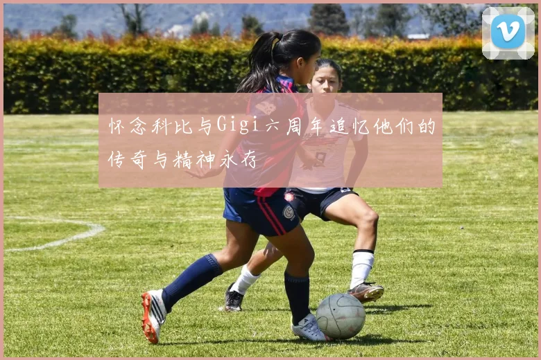 怀念科比与Gigi六周年追忆他们的传奇与精神永存