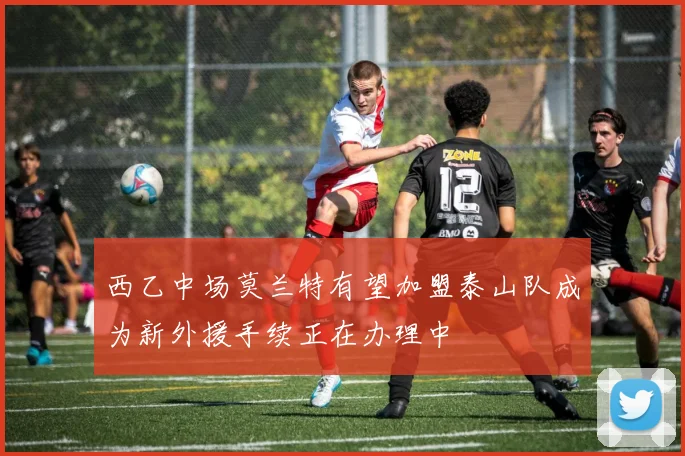 西乙中场莫兰特有望加盟泰山队成为新外援手续正在办理中